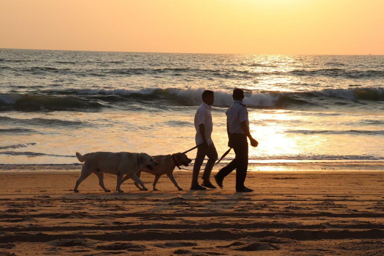 Peravel Beach Holiday Home Candolim Exterior foto